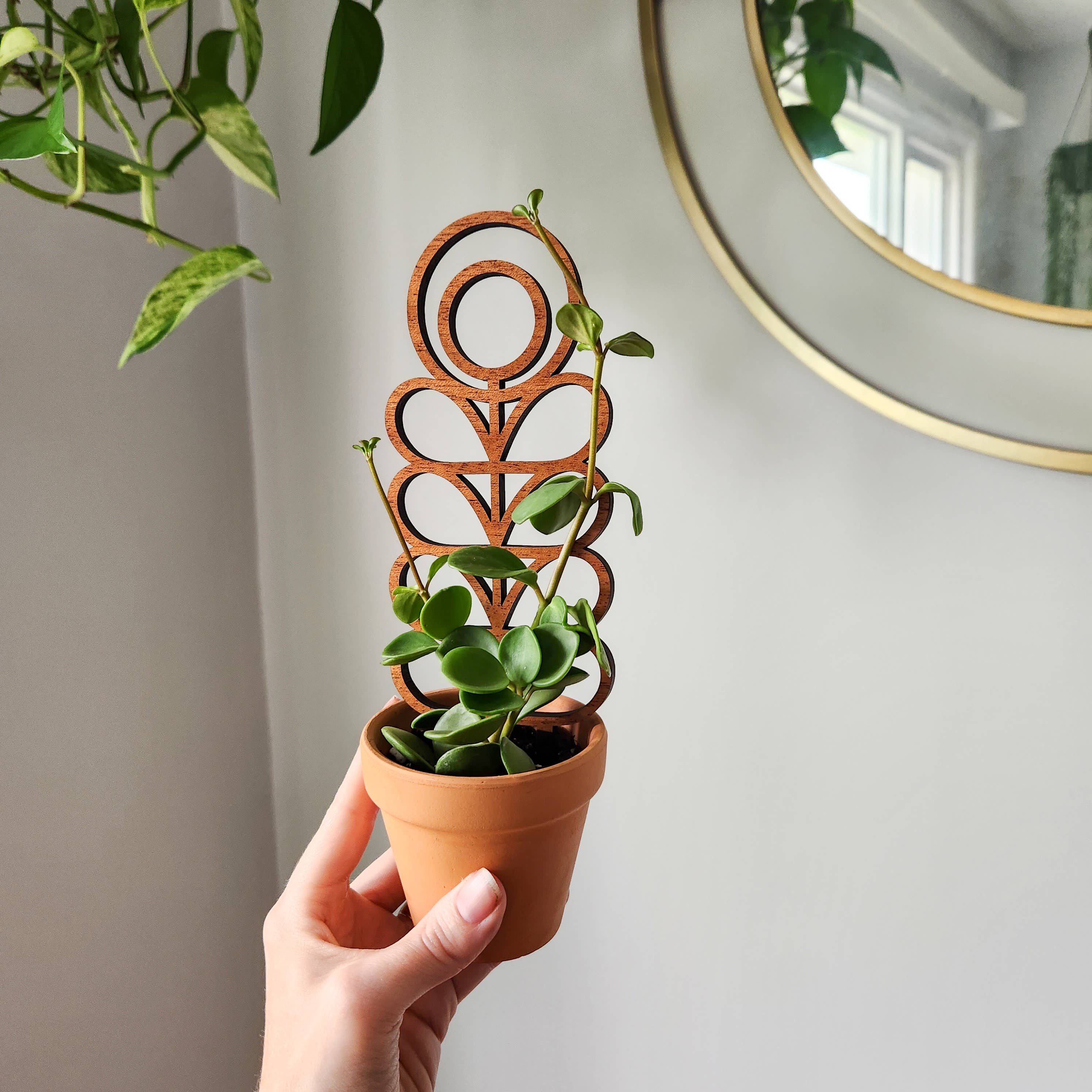 Leaf & Node - Vente Treillis - Treillis pour plantes d'intérieur en bois de style MCM (Zinnia - 2 tailles)0