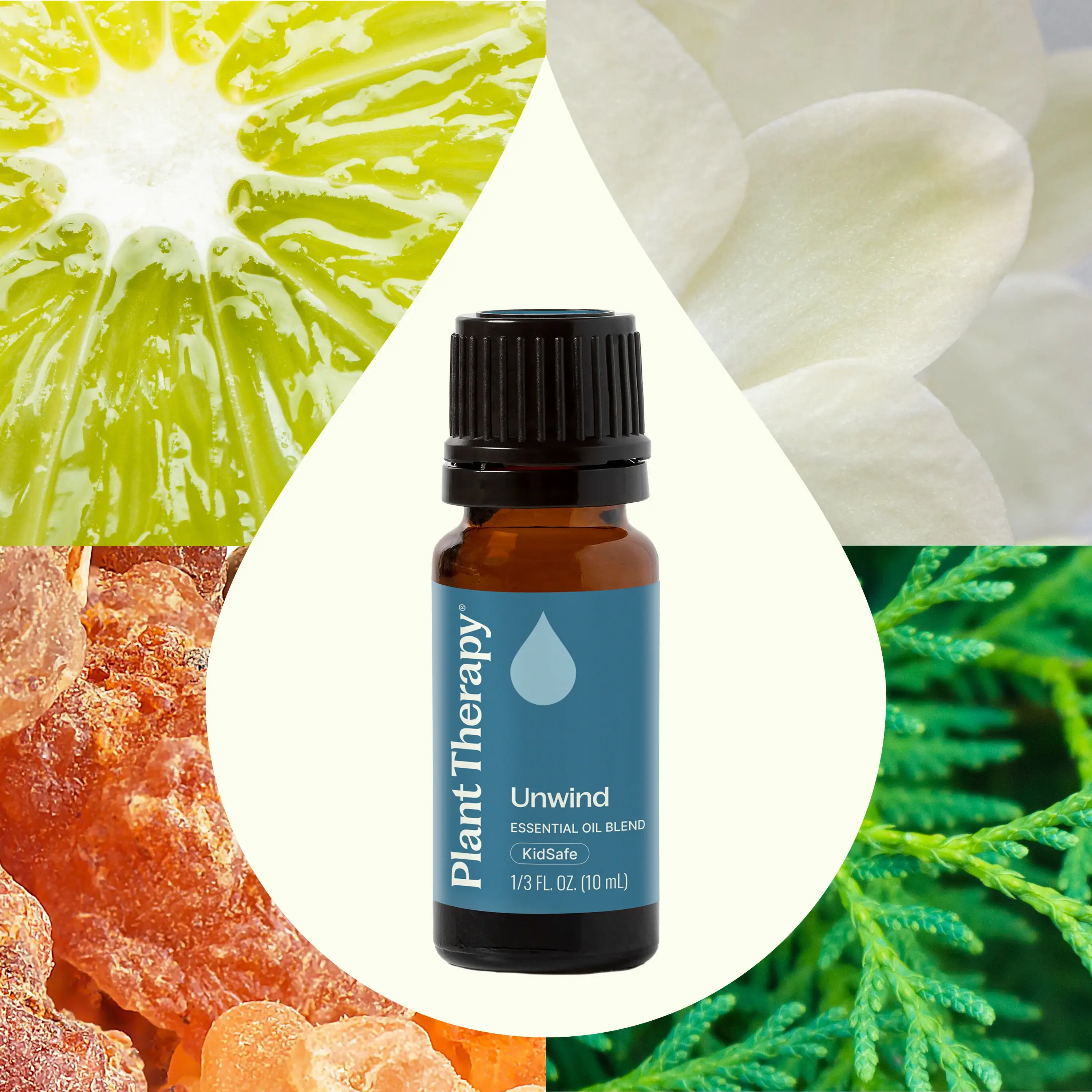 Plant Therapy - Wholesale Essential Oil - Unwind Essential Oil Blend 10 mL1