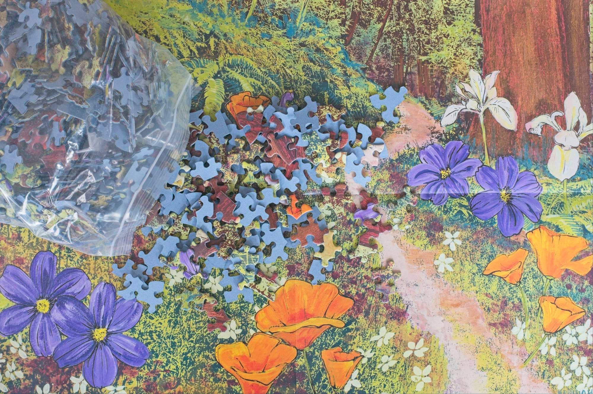 Oakland Puzzle Company - Wholesale Puzzle - Adult - Golden Beams in Redwoods 1000-piece Jigsaw Puzzle5