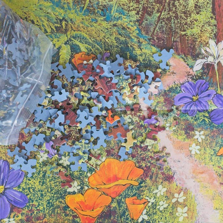 Oakland Puzzle Company - Wholesale Puzzle - Adult - Golden Beams in Redwoods 1000-piece Jigsaw Puzzle5