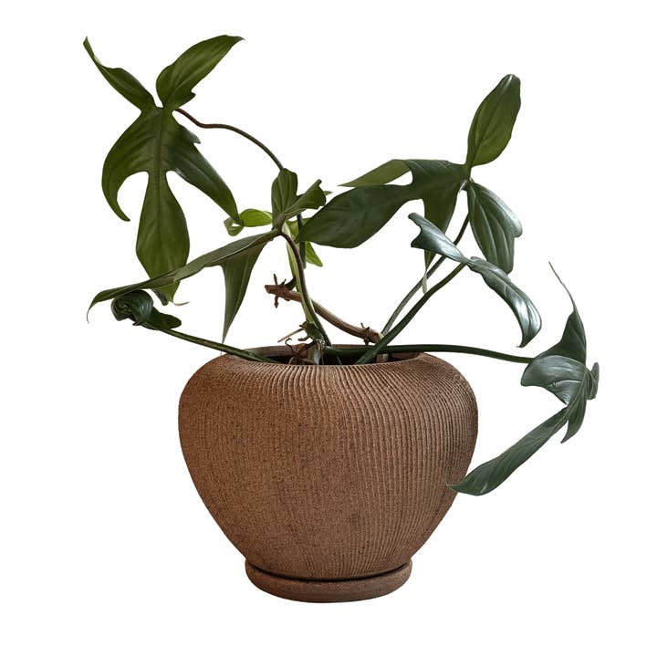 SOMBRA - Wholesale Plant Pot - Sandstone Ribbed Planter Set 1011