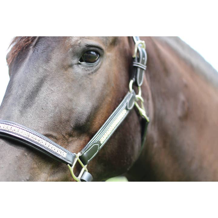 JPC Equestrian - Wholesale Horseback Riding Gear - Henri de Rivel Padded Jewel Halter - Horseback Riding Gear10
