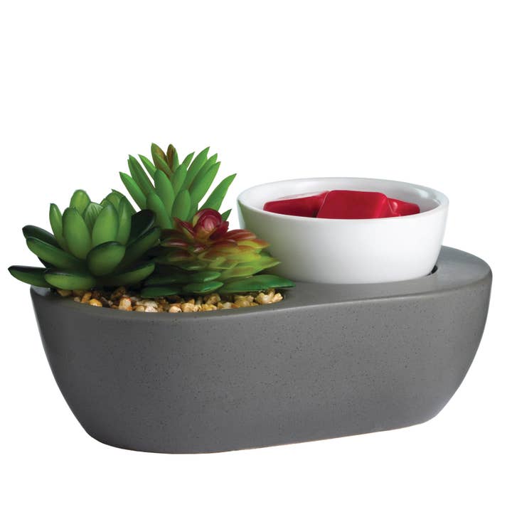 Réchauffeur de cire Artscents - Succulent pour la vente par Candle Warmers Etc.