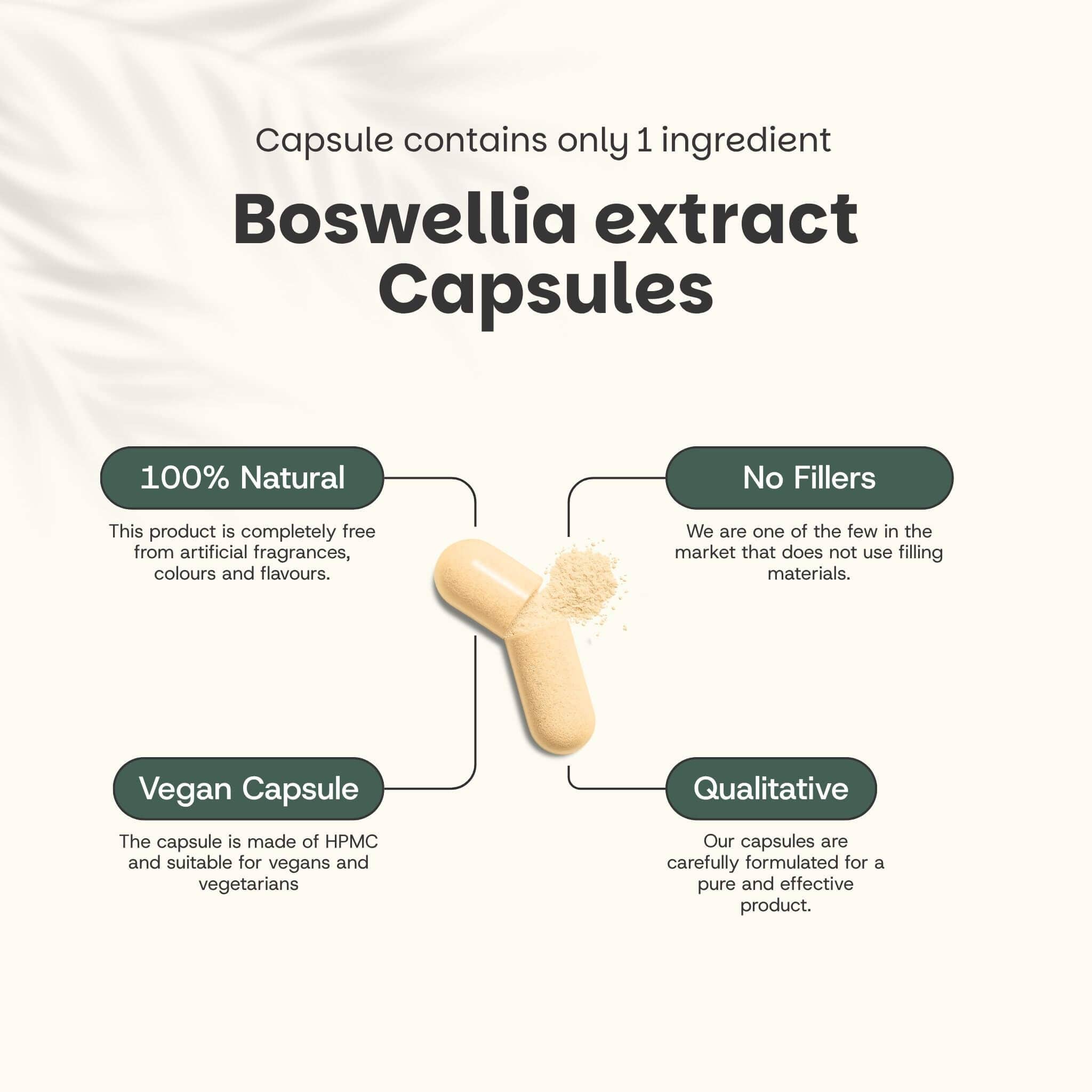 Cupplement b.v. – wholesale Oral supplement/vitamin – Boswellia Extract Capsules 500 mg  60 Capsules2