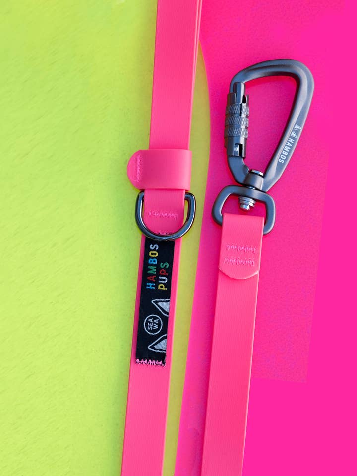 Laisse sèche PNW pour la vente par Hambos Pups