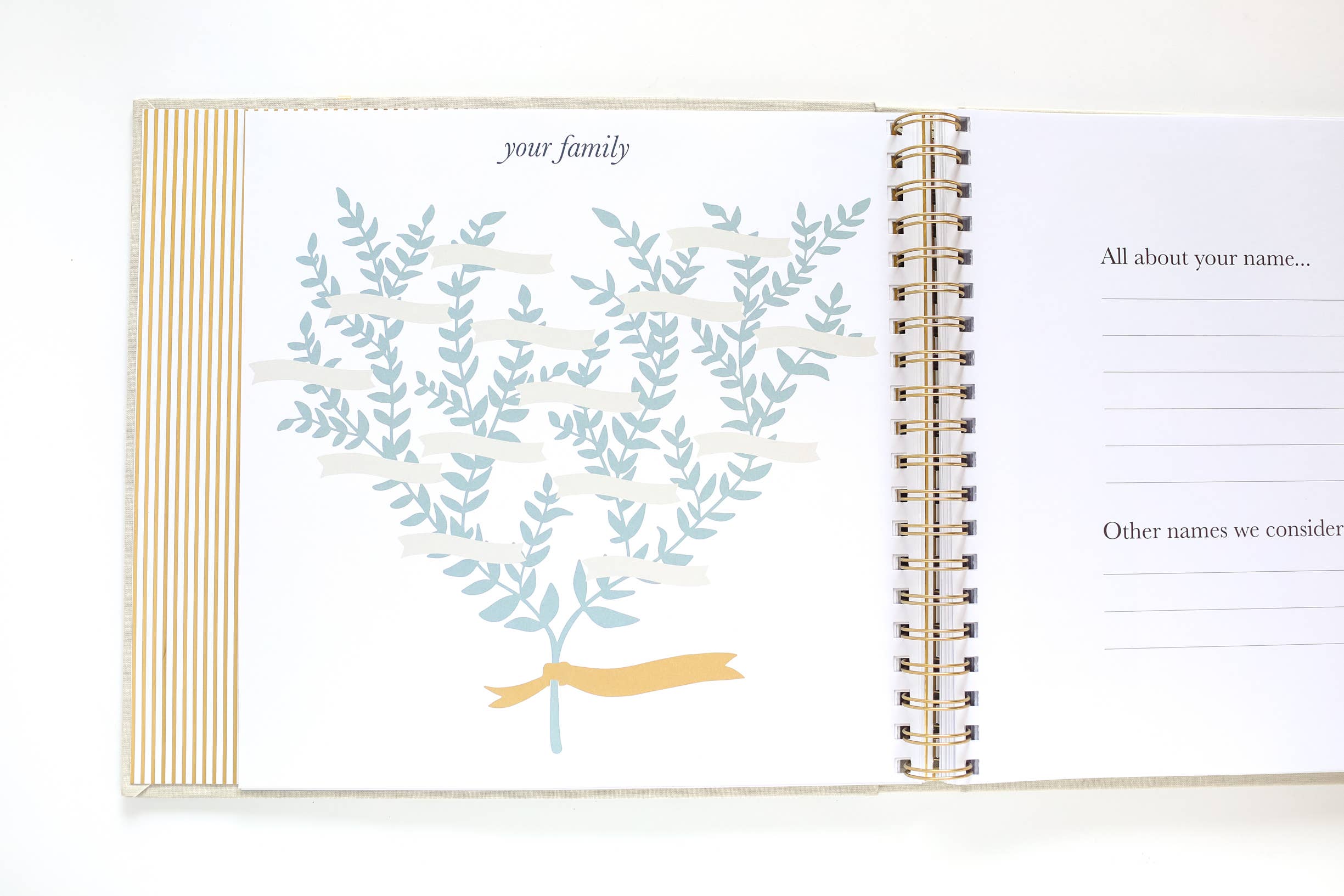 Paper Peony Press - Wholesale Memory Book - Kids & Baby - The Baby Memory Book6