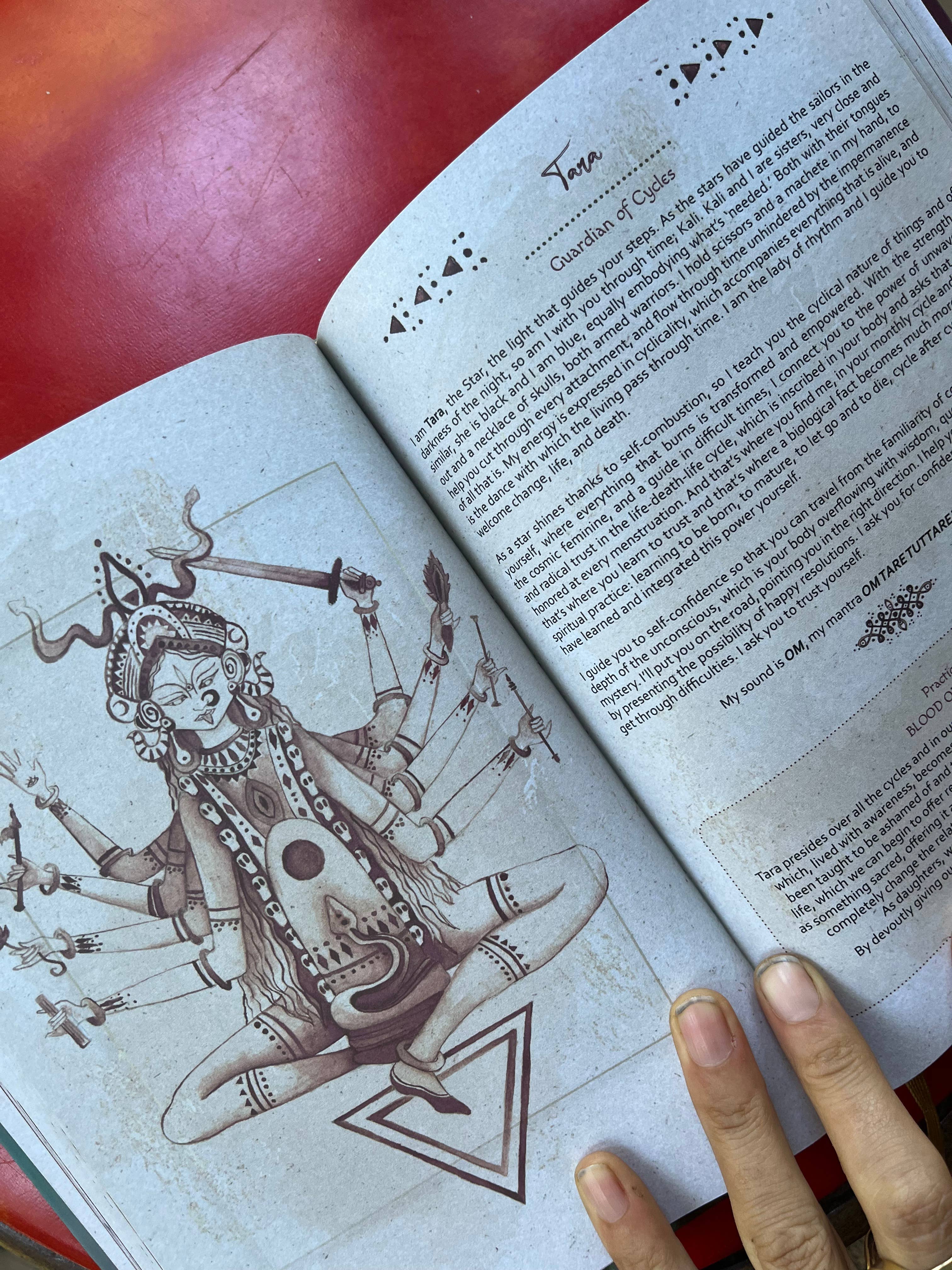 moon seeds – Engroshandel Dagbog – Moon Seeds 2025 - Årsplanlægger til selvindsigt og menstruationscyklus7