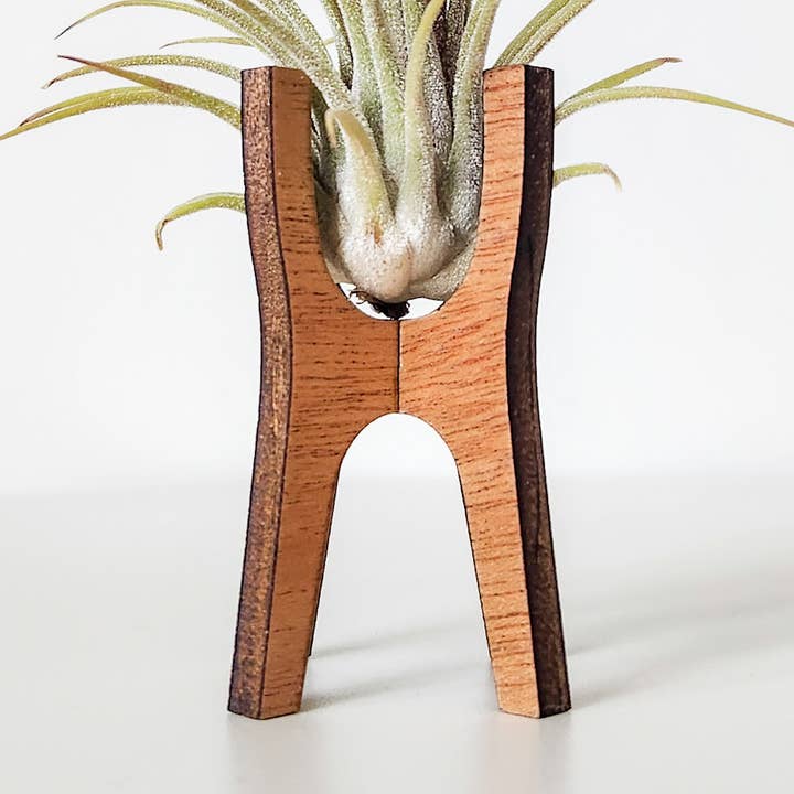 MCM Air Plant Display Stands - Wooden Holder for wholesale by Leaf & Node