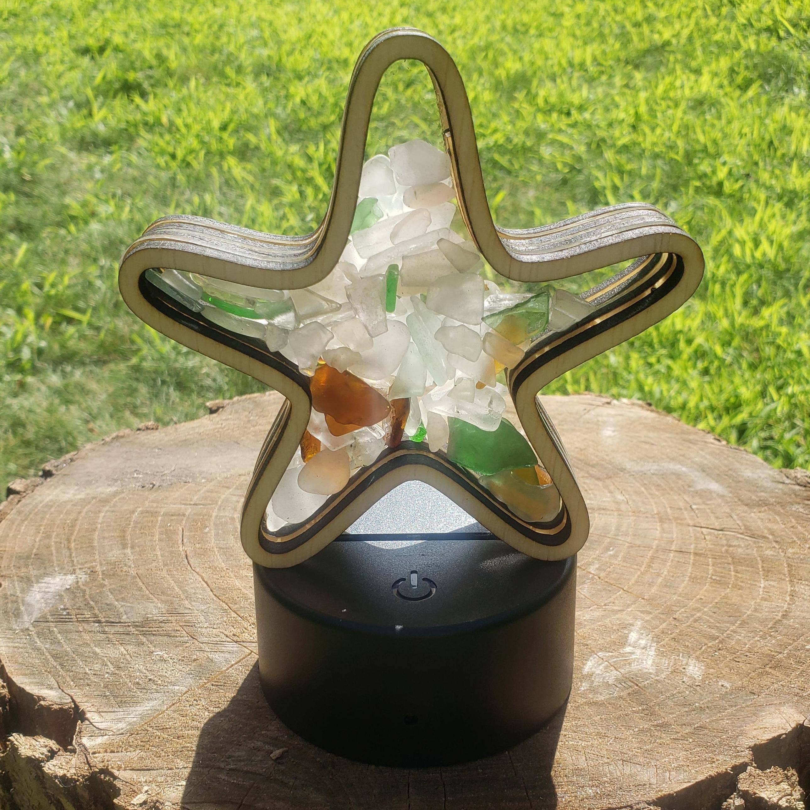 Sea Glass Displays - Vendita all'ingrosso Espositori - Espositore Shadowbox in vetro Starfish Sea 4 stili multicolore5