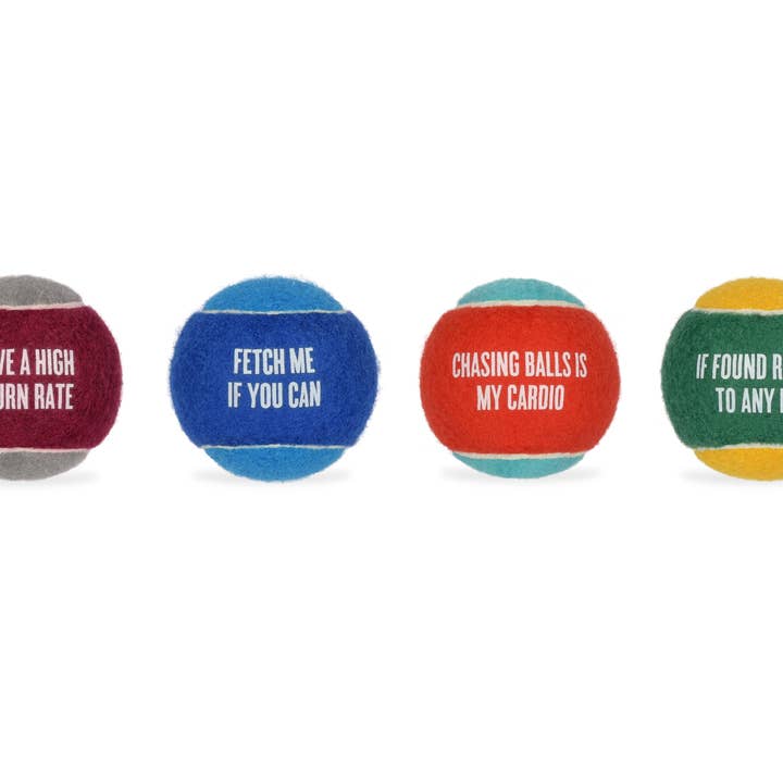 P.L.A.Y. Pet Lifestyle and You - Wholesale Pet Fetch Ball - Dog - Dog Tennis Ball - 4 Pack