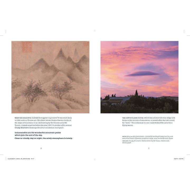 Chronicle Books - Wholesale Nature & Outdoors - A Cloud a Day3