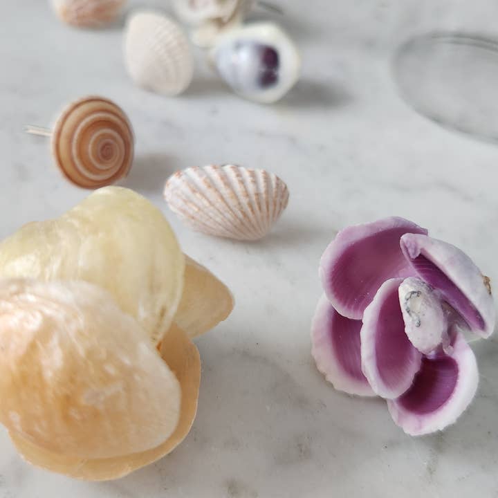 Piones de Conchas, Conjunto de 10, Embalado por atacado de White Tulip Boutique