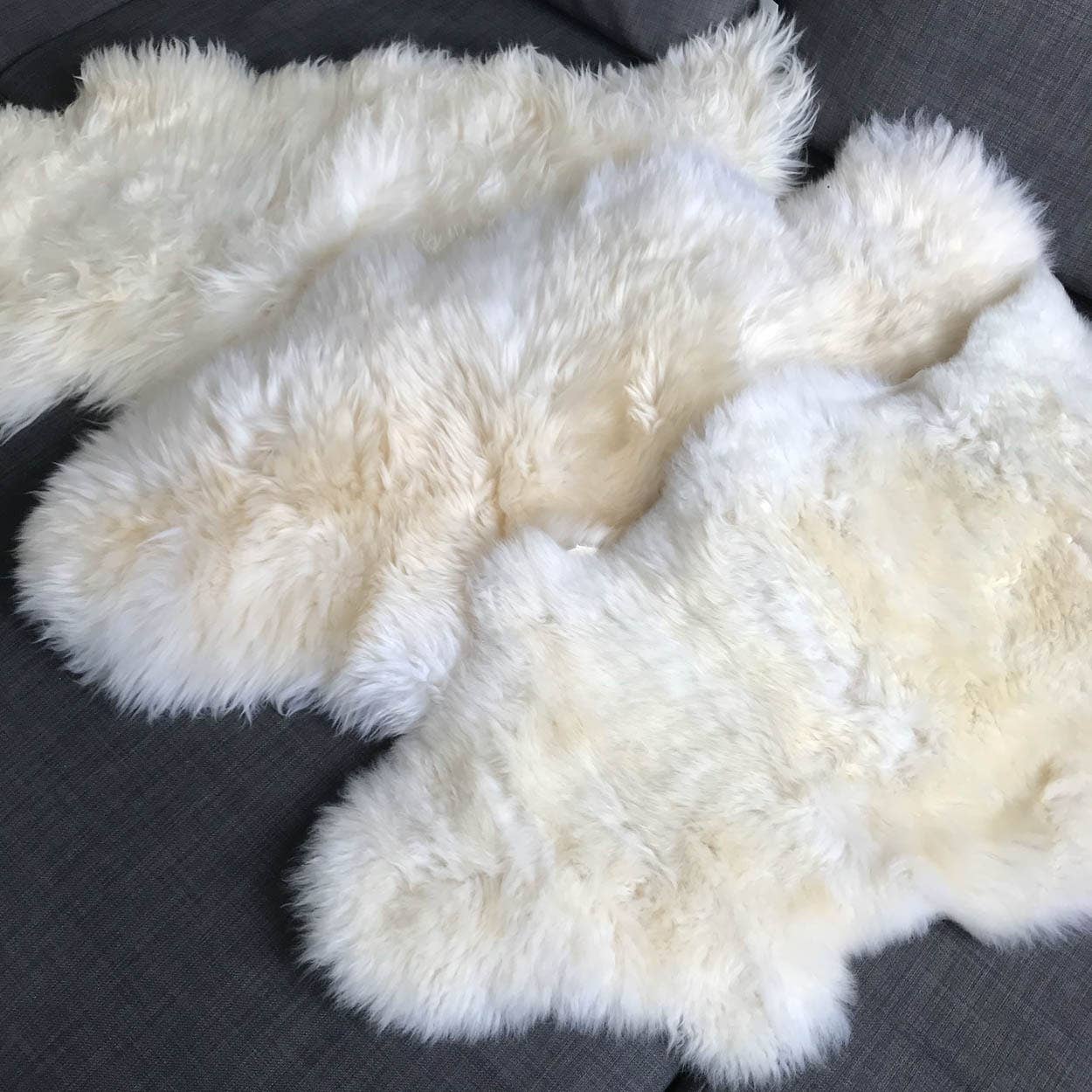 Wildash London - Wholesale Area Rug - British Ivory Cream White Sheepskin Rug - Medium2