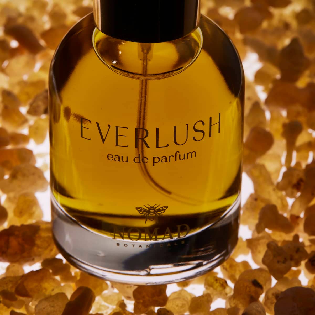 Nomad Botanicals - Wholesale Perfume/Eau de Toilette - Everlush Eau de Parfum - Natural Essential Oil Perfume4
