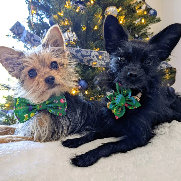 Huxley & Kent – Großhandel Fliege für Haustiere – Katze/Hund – Frohe & Helle Fliege4