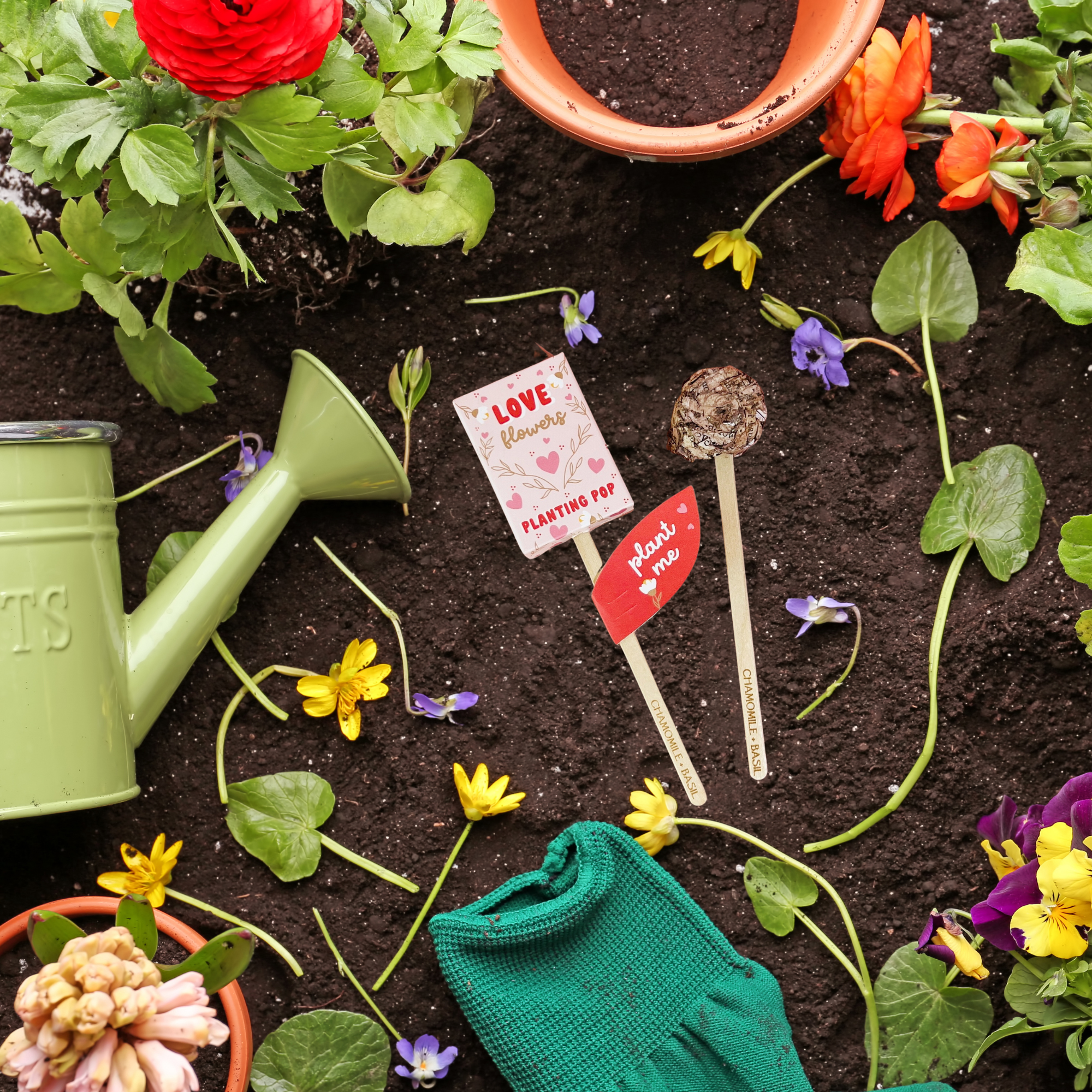 Sow the Magic - Vendita all'ingrosso Semi di piante - Love Flowers Garden + Regalo per piantare semi pop7