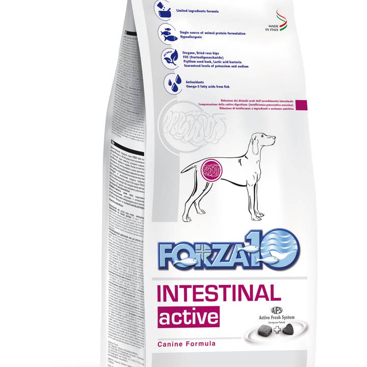 Forza10 Pet Food - Wholesale Pet Food - Dog - Forza10 Active Intestinal Support Diet Dry Dog Food