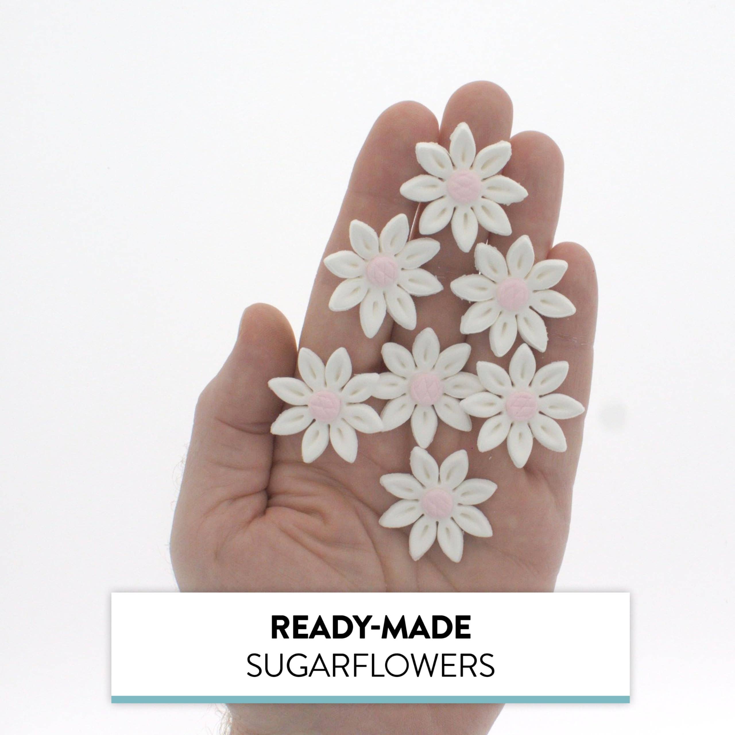 Global Sugar Art - Wholesale Cake/cupcake topper - Edible Daisy Cake Decorations, White and Pink Sugar Flowers, Unwired 1 Inch, Daisy Cupcake Toppers, Edible Flowers Cake Decorations by Chef Alan Tetreault, Global Sugar Art5