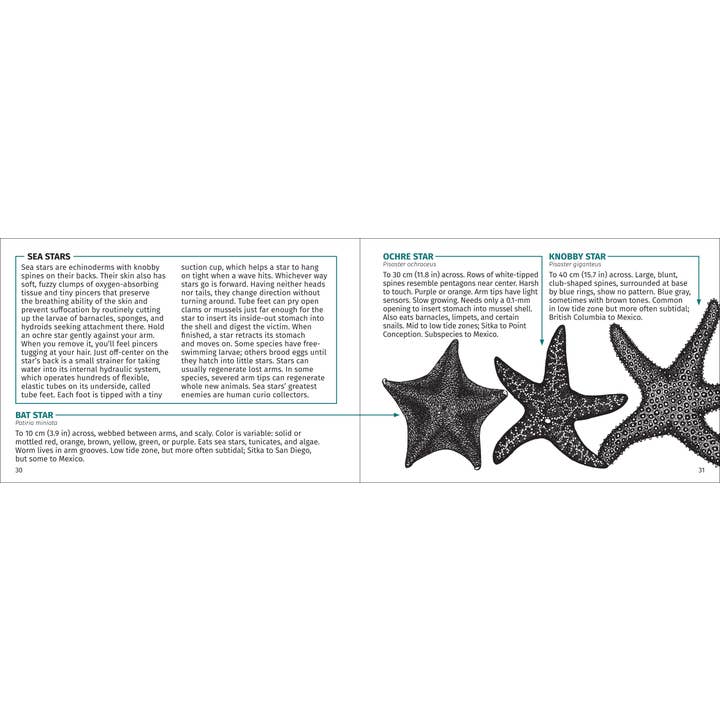 AdventureKEEN - Wholesale Nature & Outdoors - Pacific Intertidal Life 2nd Edition10