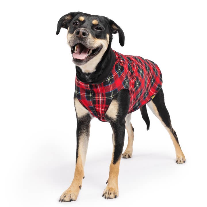 Gold Paw Series - Wholesale Pet Coat - Dog - Double Fleece7