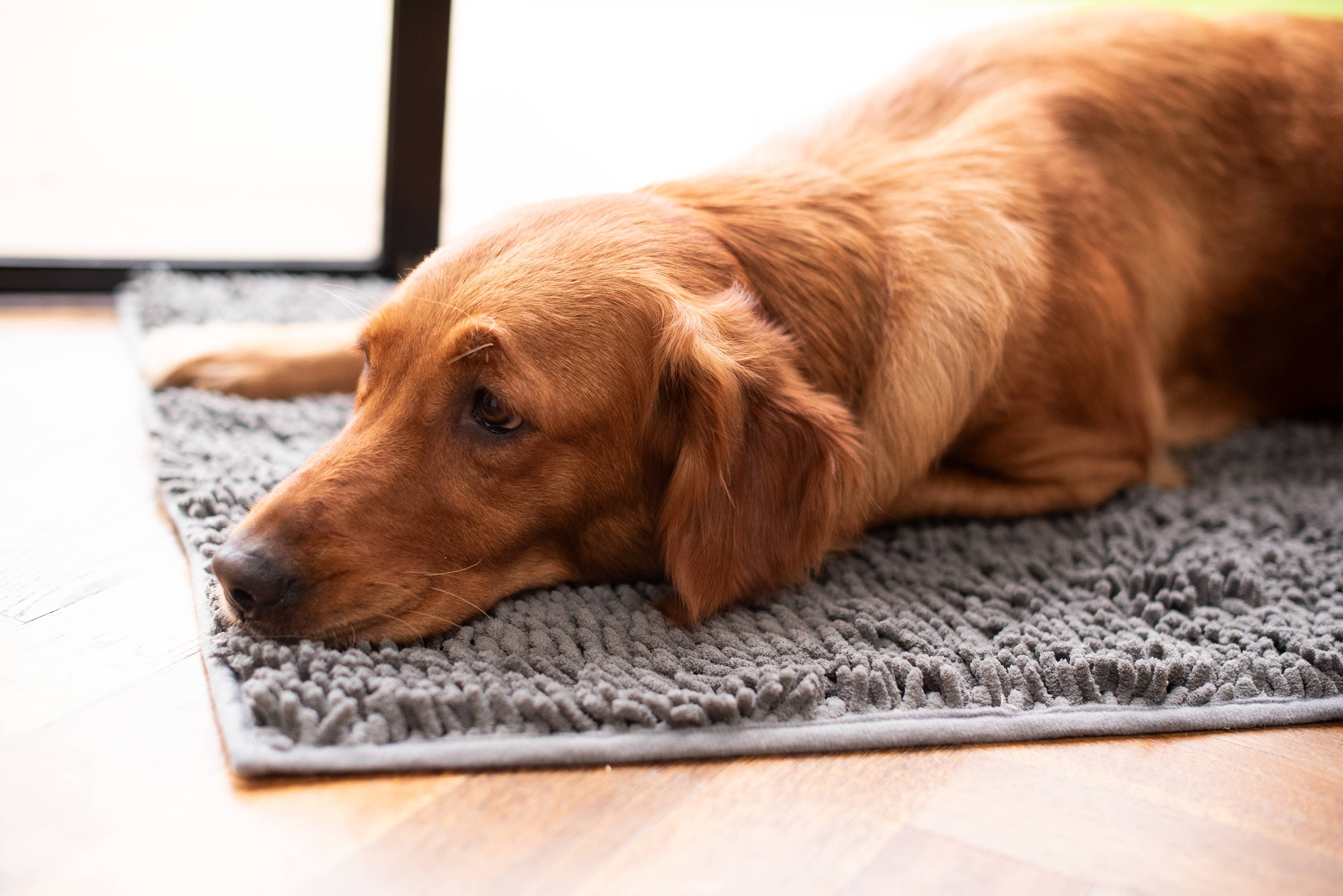 Pet Wiz - Wholesale Pet Mat - Dog - Plush Microfibre Noodle Mat2