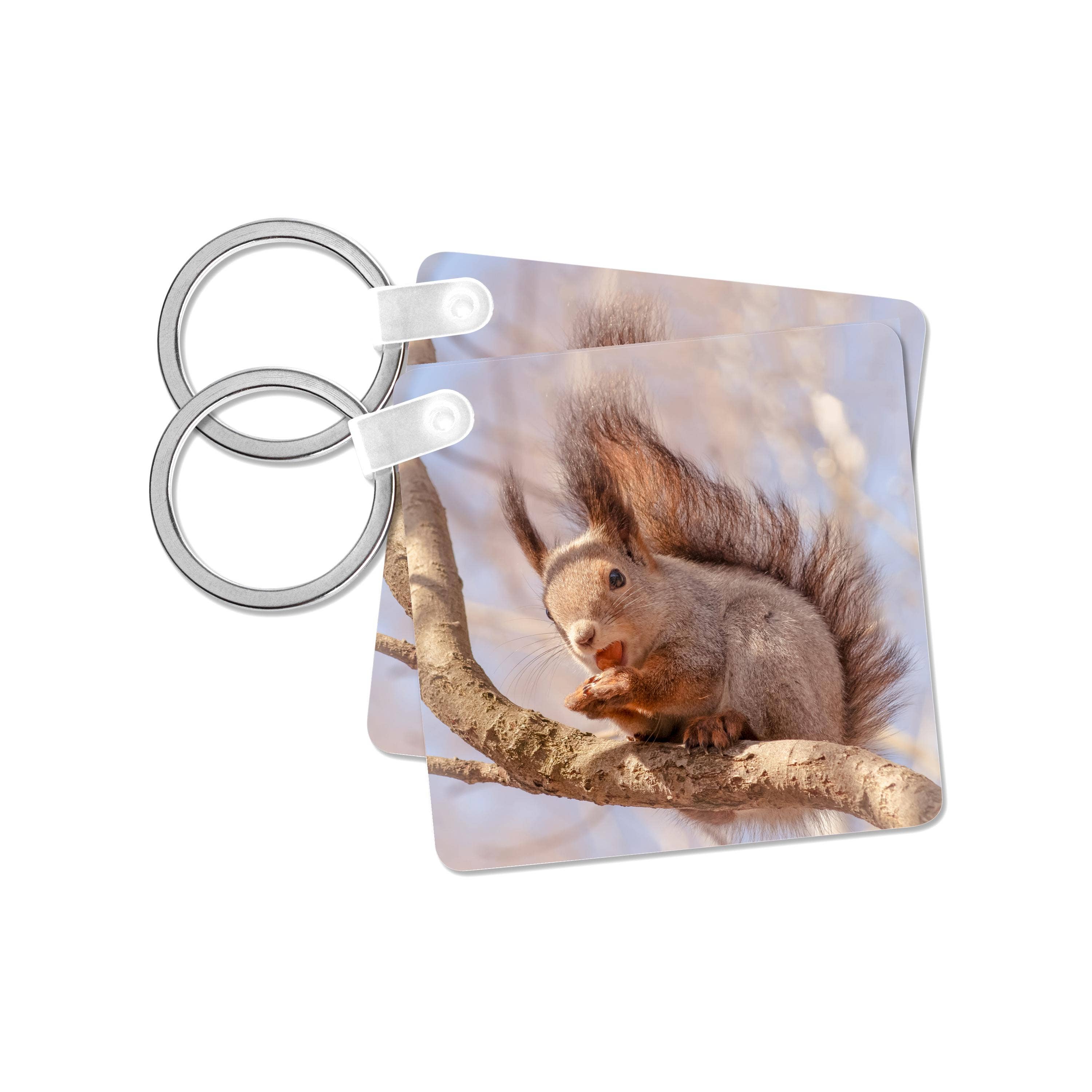 3dRose – wholesale Keychain – Unisex – 3dRose, Funny squirrel sits on a tree branch and eats a hazel nut, Key Chain7
