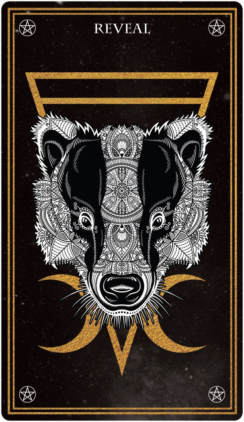 Peter Pauper Press - Vente Carte de tarot/oracles - Deck de cartes Oracle mystique sauvage5