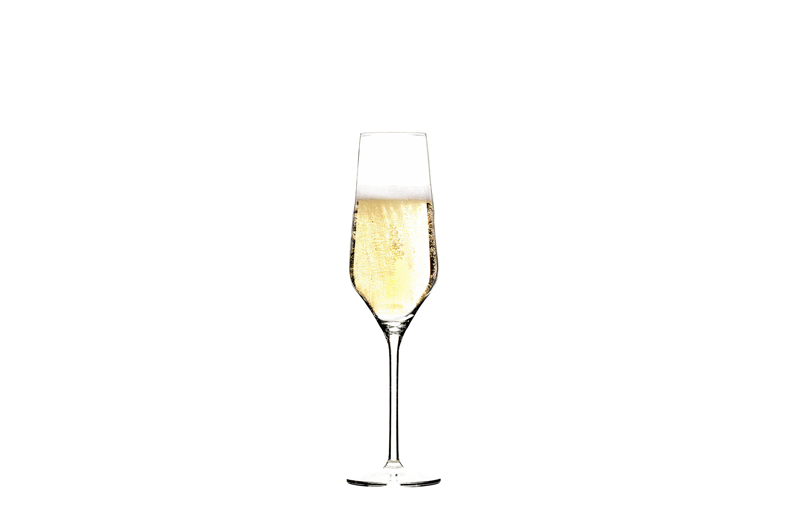 Hospitality Glass – Engroshandel Champagneglas – Eufori 7,75 ounce Champagne0