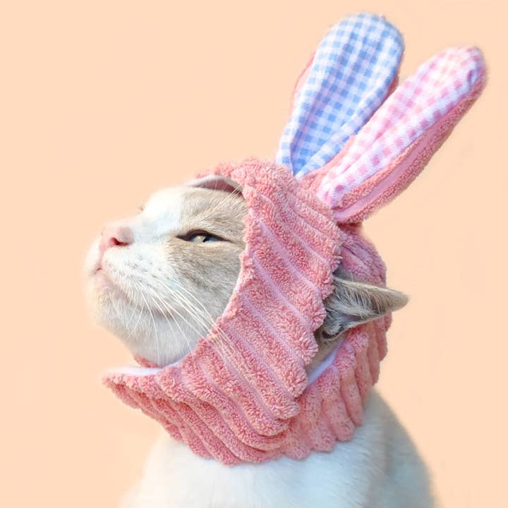 Cheerhunting – Großhandel Haustiermütze – Hund – Ozzie Dekohut mit Hasenmotiv4