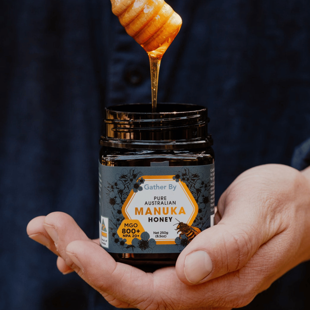 Gather By Manuka – wholesale Honey – Manuka Honey MGO 800+ (NPA 20) (For USA)6