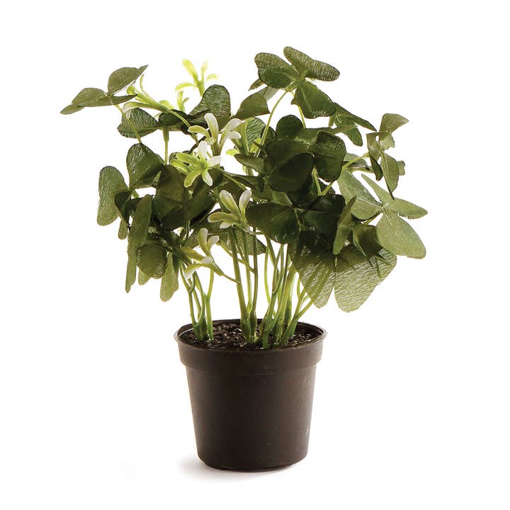 Napa Home & Garden - Wholesale Artificial Plant - Clover Potted 6.5"