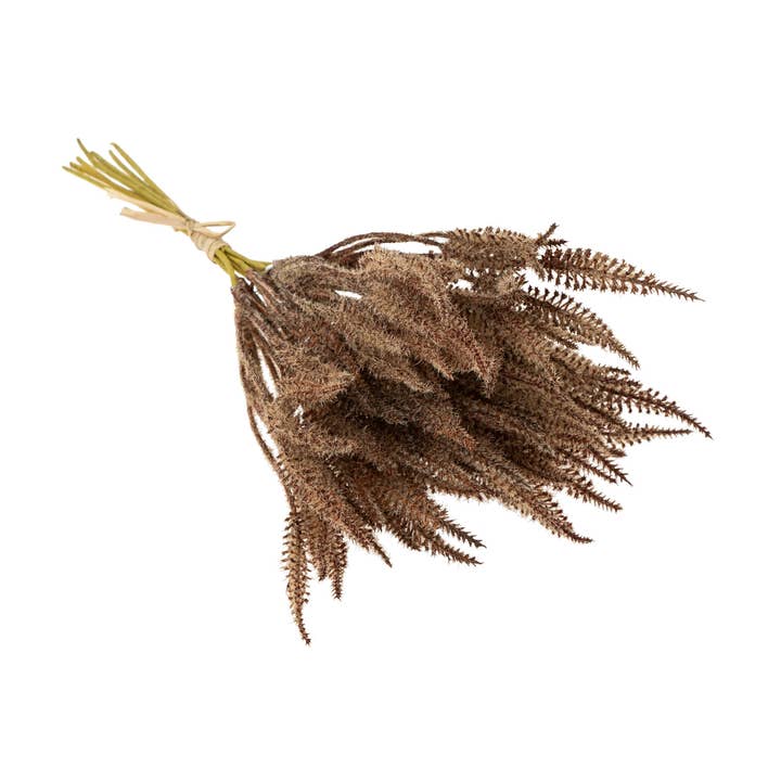 Indaba Trading - Vente Fleurs artificielles - Mini bouquet d'herbe de la pampa, marron0