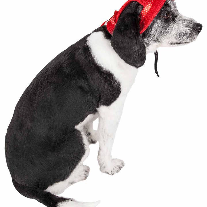 Pet Life - Wholesale Hoed voor honden - Hond - Pet Life ® Sea Spot Sun UV-werende verstelbare hondenhoed met rand6