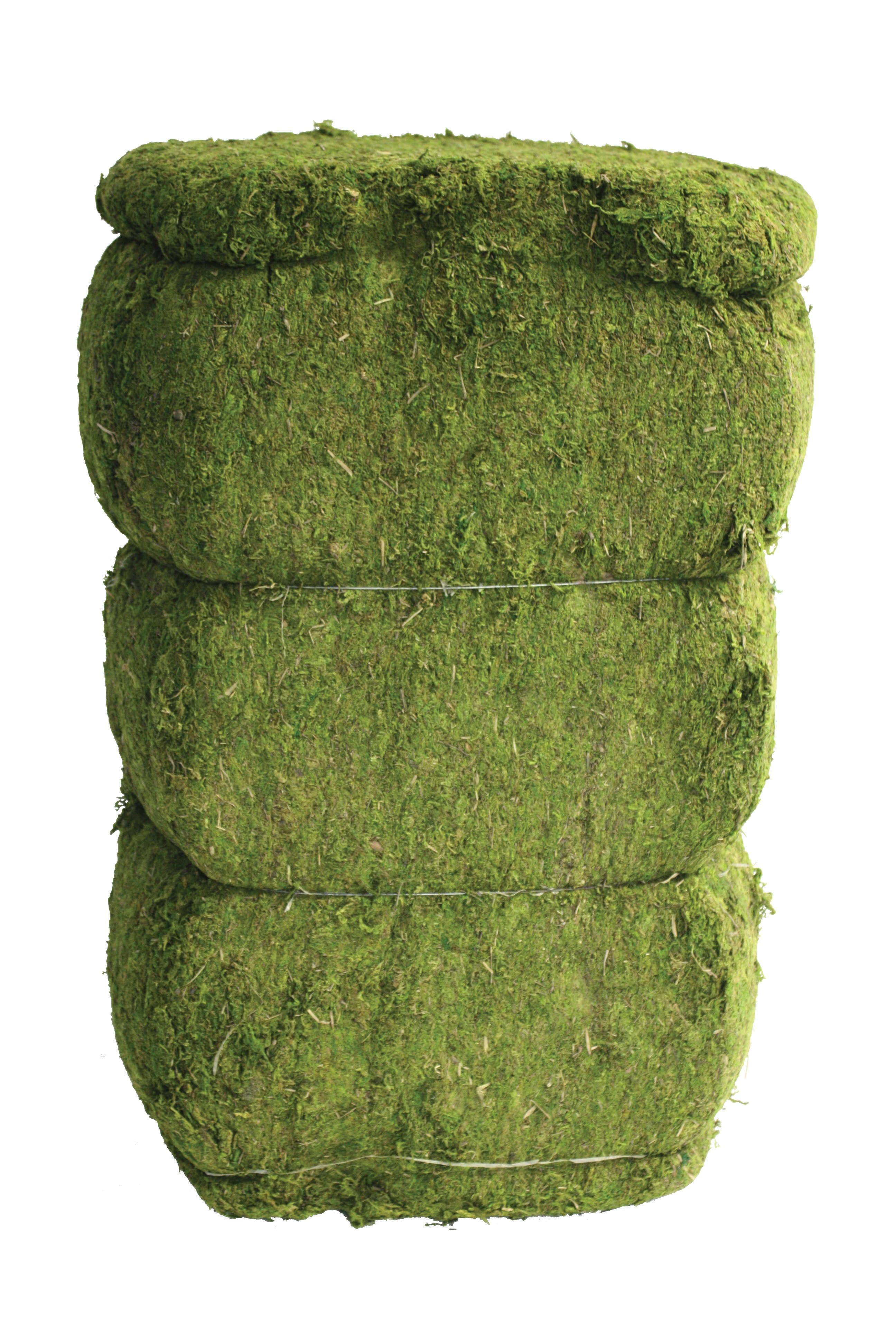 Braun - Wholesale Outdoor Ornament/Decor - Evergreen Moss Bale0