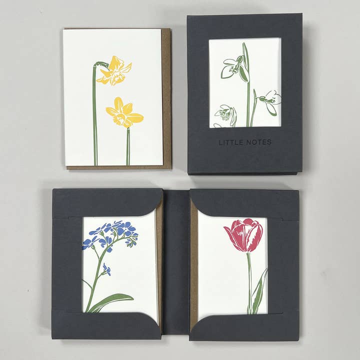 Penguin Ink – wholesale Stationery/notecard set – Flora Notecard Set | Set of 81