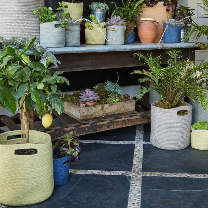 Cestas trenzadas de grosella espinosa para venta al por mayor de Weaver Green