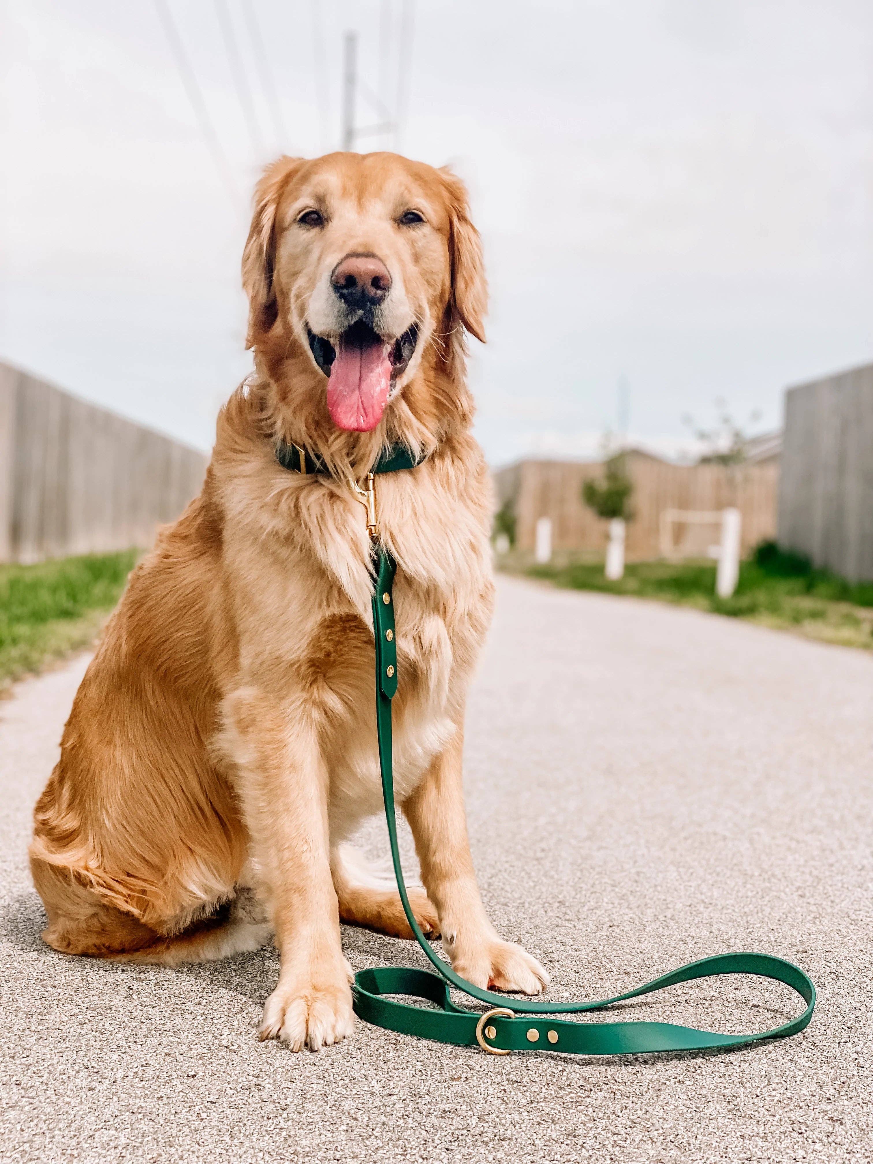 Ruff N' Fluff - Wholesale Pet Leash - Dog - 6 Ft. Adventure Proof Leashes10