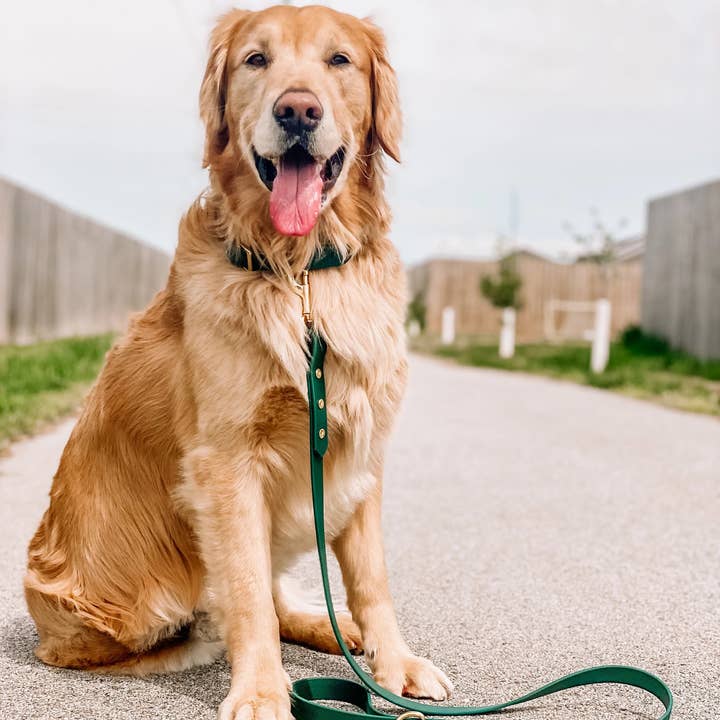 Ruff N' Fluff - Wholesale Pet Leash - Dog - 6 Ft. Adventure Proof Leashes10