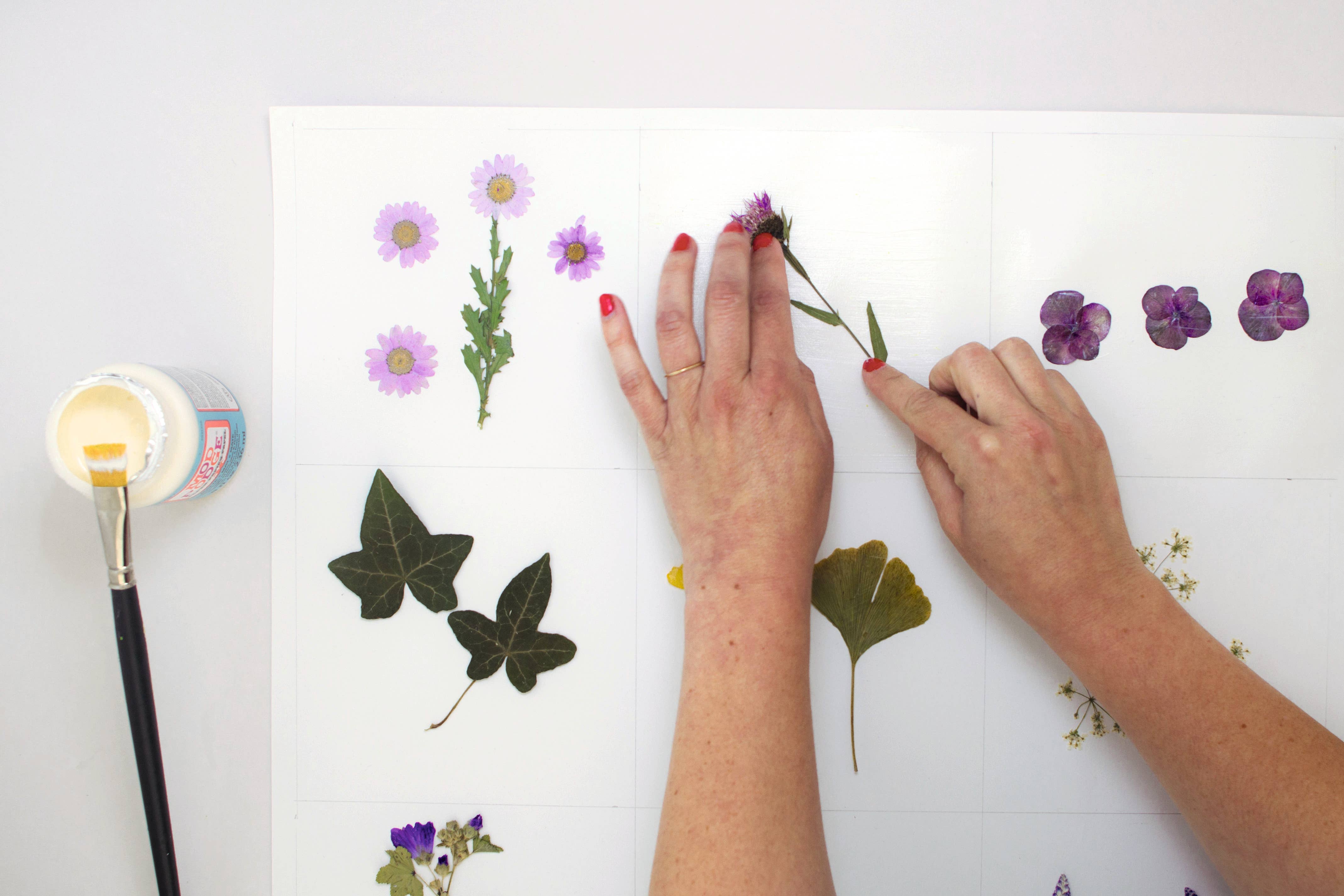 Schiffer Publishing - Wholesale Crafts, Hobbies & DIY - The Little Book of Flower Pressing2