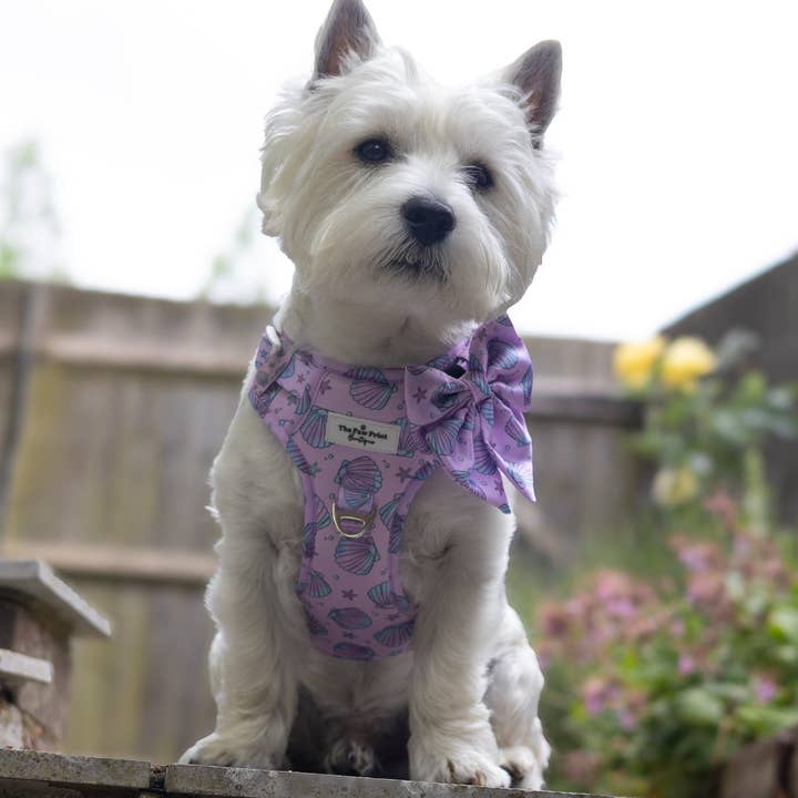The Paw Print Boutique - Wholesale Pet Harness - Dog - Mermaids Tails Adventure Paws Harness25