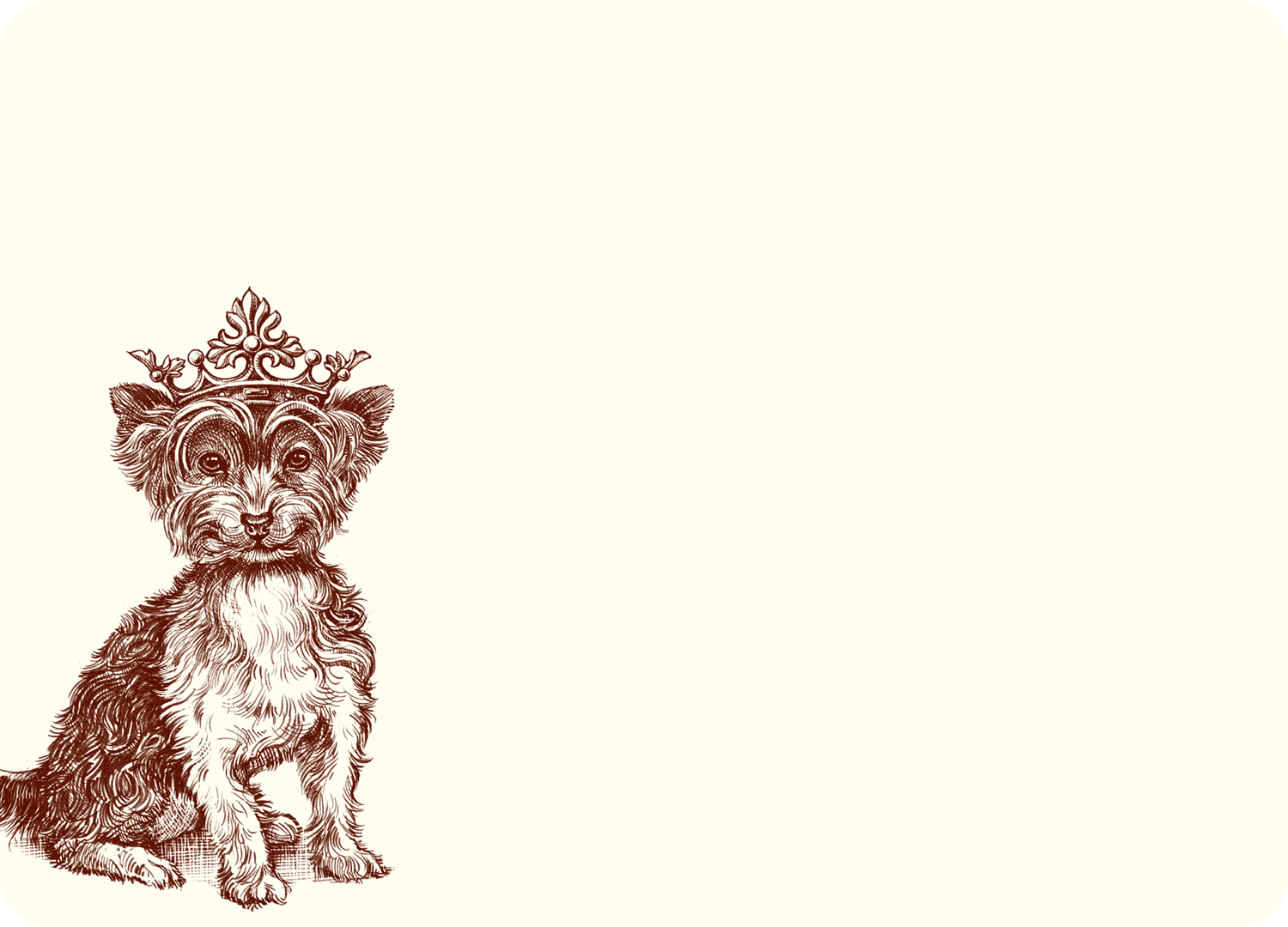 Alexa Pulitzer - Vendita all'ingrosso Set di cartoleria/cancelleria - Banconote Royal Yorkshire Terrier A60