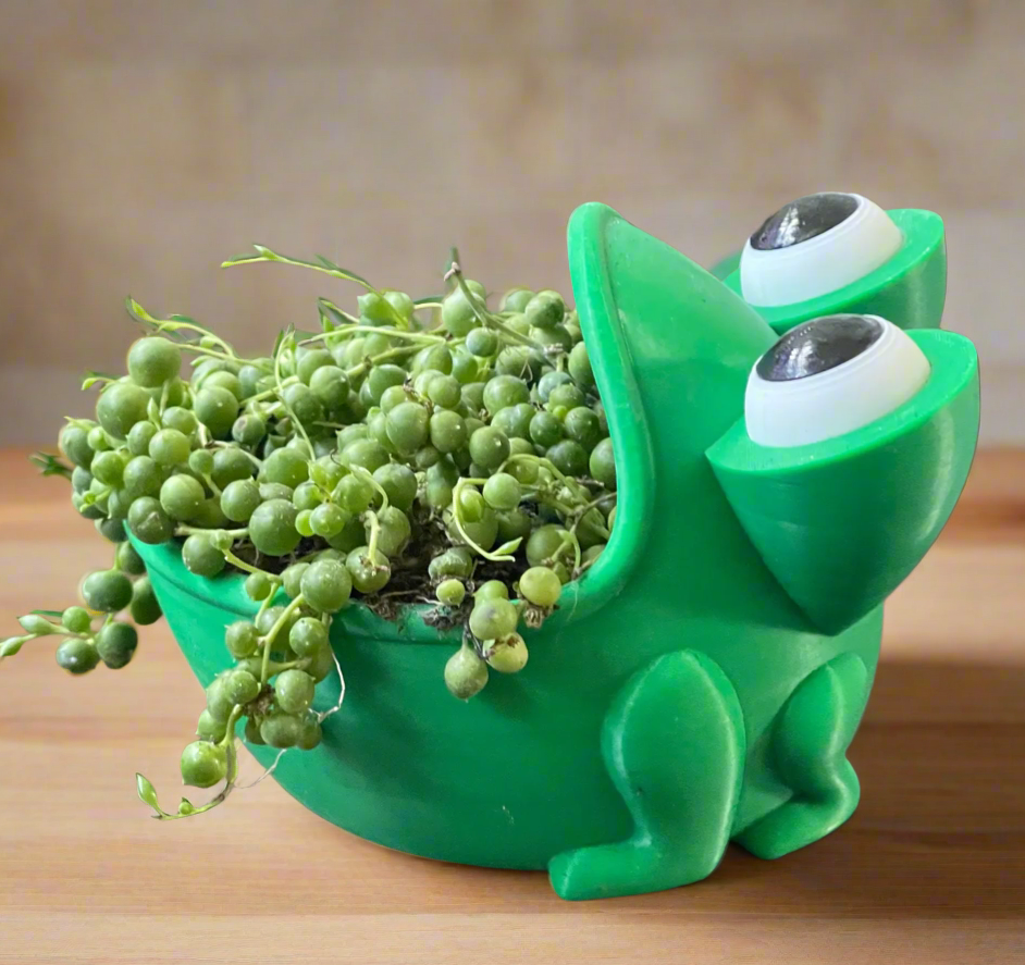 Genetic Designs - Wholesale Plant Pot - Big Mouth Frog Planter2