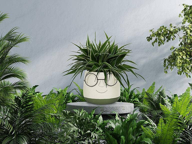 Abbott - Wholesale Plant Pot - Face Planter w/Glasses3