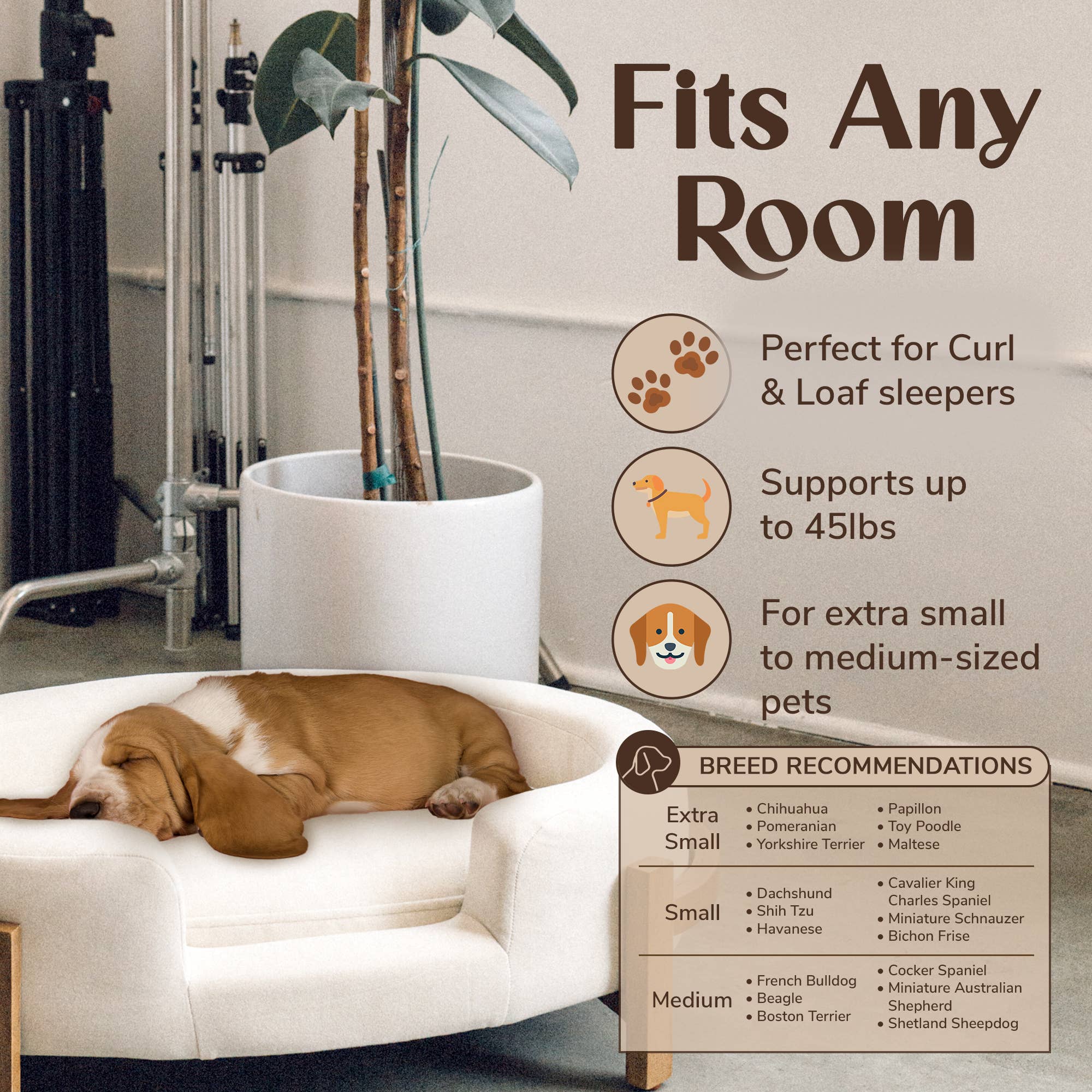 WHISKERHAUS LLC - Vendita all'ingrosso Letto - Cani e gatti - WHISKERHAUS Premium Letto Moderno di Lusso in Legno Massello per Gatti e Cani - Belle6