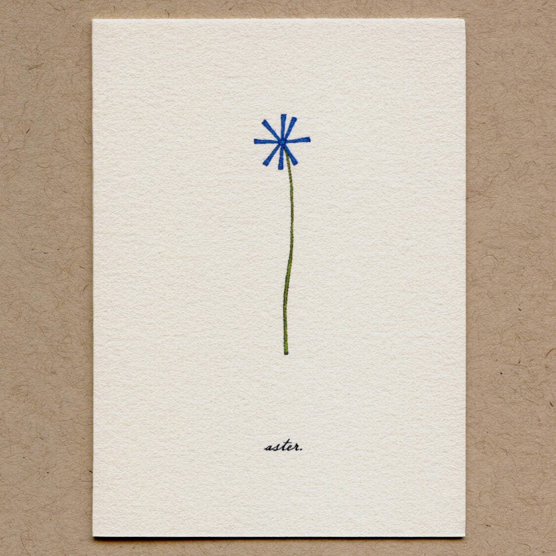 Beth Mueller – Großhandel Grußkarten für den Alltag – Aster-Grußkarte.0