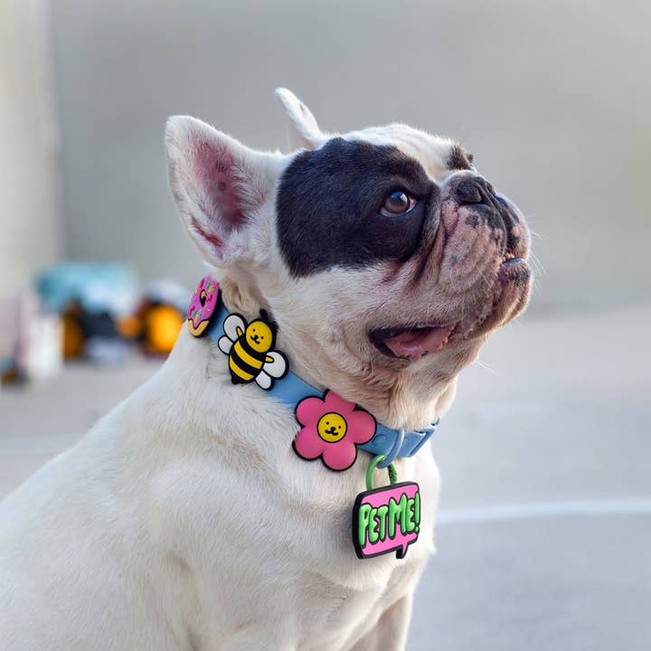 Jiby Dog Crew – wholesale Pet collar charm – Cat/dog – Pet Me Jiby Dog Charm3
