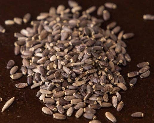 Mystical Roots - Wholesale Herbs - Herb Jar - Milk Thistle1