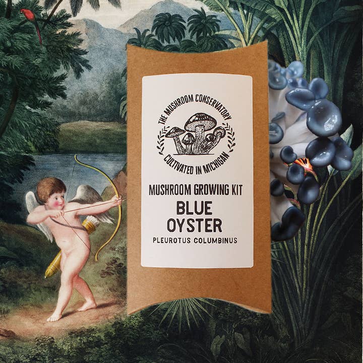 Kit de culture de champignons comestibles Blue Oyster pour la vente par The Mushroom Conservatory LLC