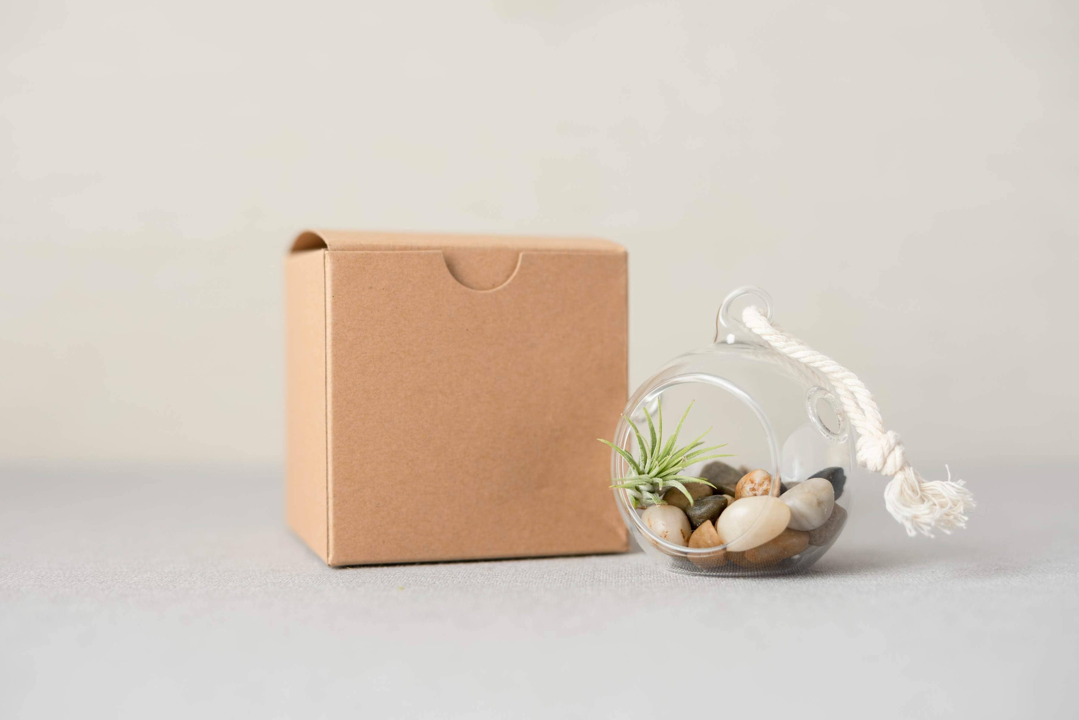 The Simply Crafty Shop - Wholesale Terrarium - Mini Orb Air Plant Terrarium Kit - Semi-Precious Stone37