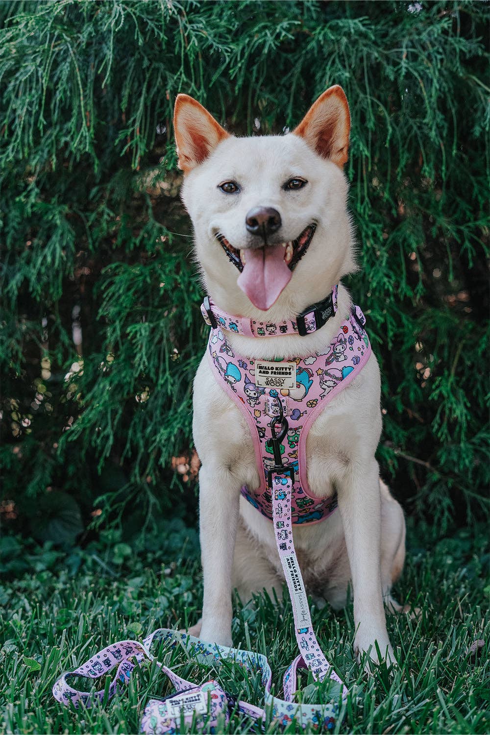 SASSY WOOF - Wholesale Pet Harness - Dog - Dog Adjustable Harness - Hello Kitty® & Friends Flower Festival15